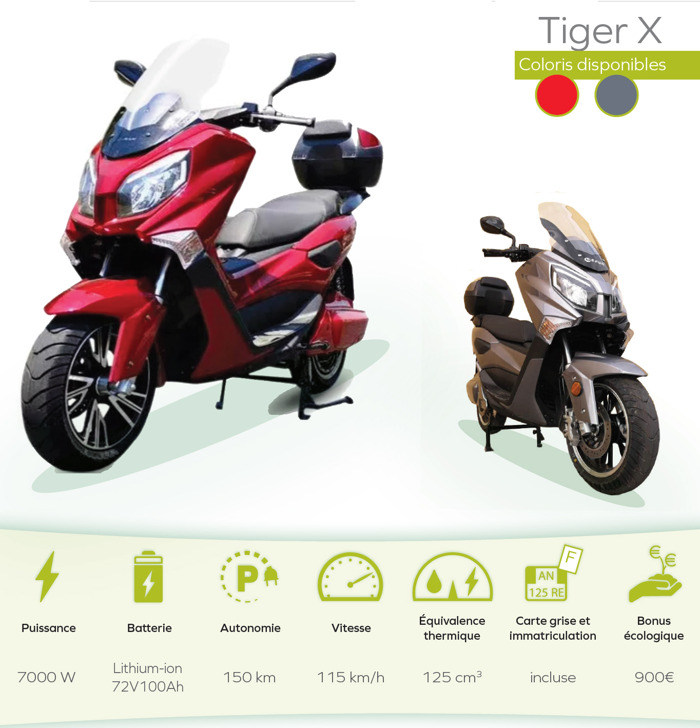 tigerX-recto.jpg