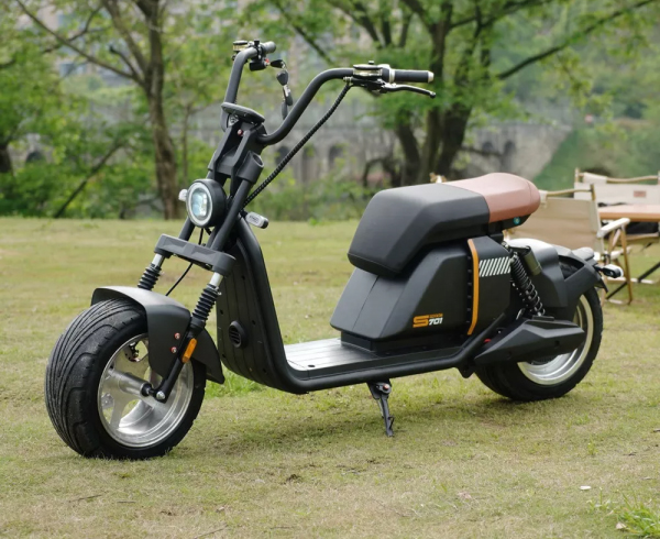 Scooter électrique LYCKE Super701 citycoco